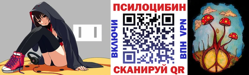 купить наркотики сайты  Светогорск  Псилоцибиновые грибы мухоморы 